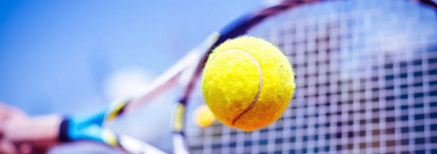 Texto alternativo (alt) da imagem em destaqueTexto alternativo (alt) da imagem em destaque